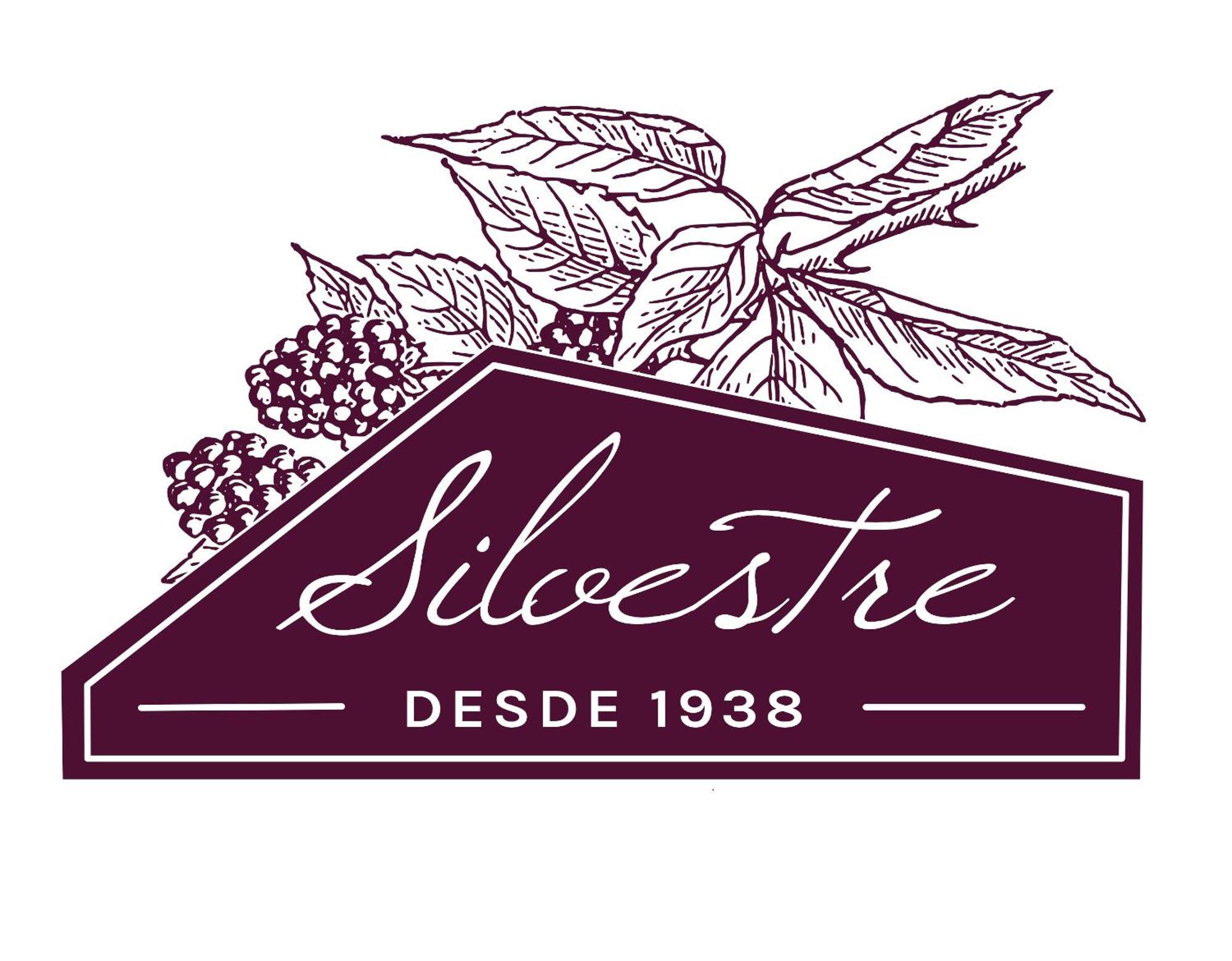 Alojamento Funchal - Silvestre House 외부 사진